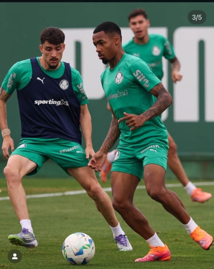 photo instagram palmeiras photo instagram palmeiras