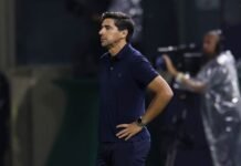 Abel Ferreira é denunciado no STJD por expulsão em clássico