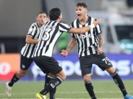 Botafogo marca no último minuto e vence o Santos no retorno do Brasileirão