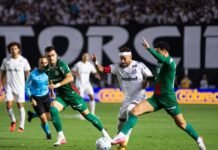 Palmeiras segura empate com o Santos e avança às semifinais da Copa do Brasil